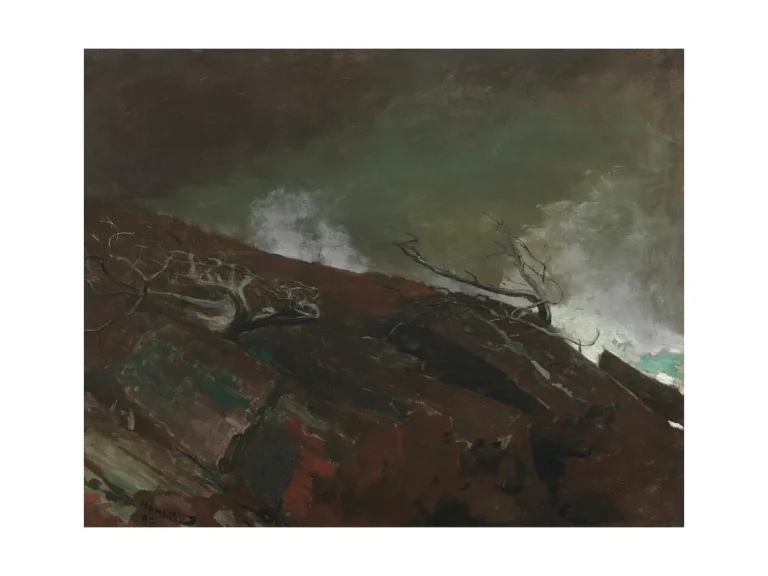 Poster Felsküste von Winslow Homer
