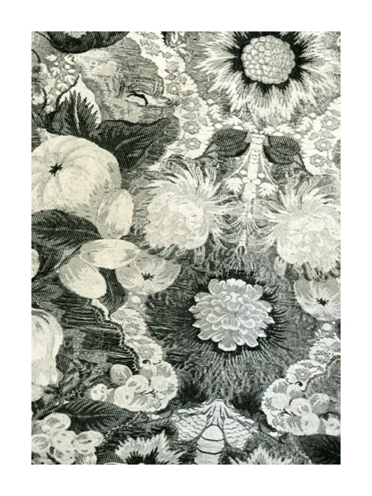 Poster Sonnenblume von Unbekannt